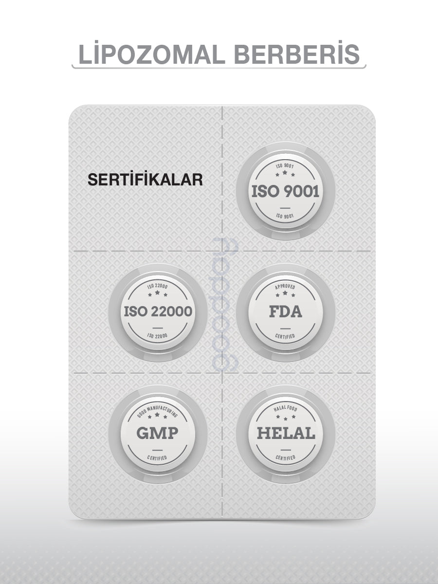 Lipozomal Berberis 60 Tablet